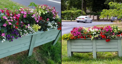 Church Council Accidentally Plants Cannabis In Floral Display