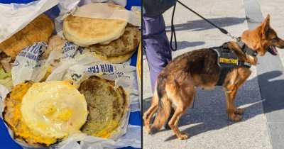 Traveler Fined $2,600 For Bringing McMuffins Into Australia
