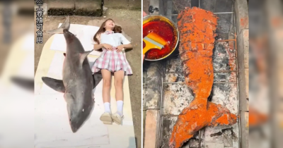 Food Blogger Facing Investigation After Cooking And Eating Great White Shark In Video