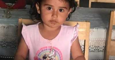 Three-year-old Girl Wakes Up At Own Funeral After Doctors Declared Her Dead From Stomach Bug