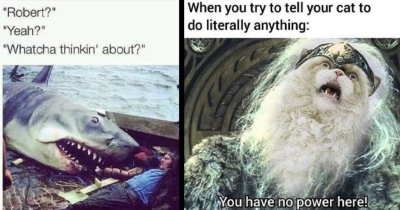 31 Fresh Pics And Memes For The Exquisite Minds