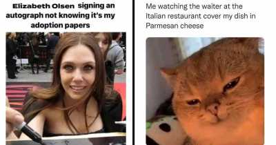 Hillarious Memes To Cure Your Depression