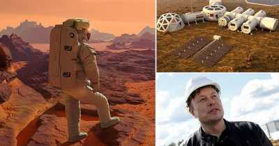 Elon Musk's Mars Dream Almost Realised After Machine Produces Oxygen On Red Planet