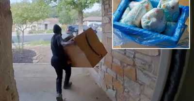 Texas Couples&rsquo; Poop Trap Backfires, Thieves Retaliate By Spraying Cow Dung On Their House