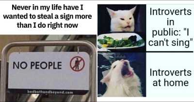 Hilarious Memes For All To Enjoy