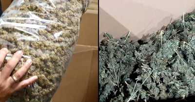 Spanish Police Seize Huge Amount Of Marijuana Ever Caught, Worth $64 Million