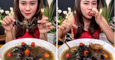 Vlogger Arrested After Feasting On Bat