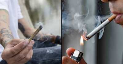 Smoking Marijuana May Be More Harmful To Lungs Than Smoking Cigarettes, Study Finds