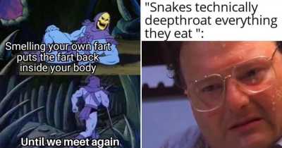 Hilariously Disgusting Memes That Will Make You Cry Laughing
