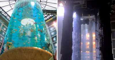 Huge Aquarium Bursts In Berlin, Releasing Floods Of Water And Around 1500 Tropical Fish
