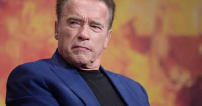 Arnold Schwarzenegger Shops at Walmart, Feeds His Animals At 6 Am &mdash; Inside His Farm Life In LA