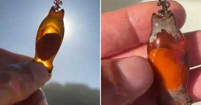 Man Rescues Live Baby Shark Egg He Found On The Beach