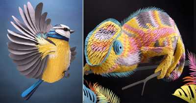 Artist Lisa Lloyd Deftly Cuts Paper To Create Stunning 3D Sculptures