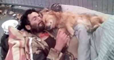 This Homeless Man Sleeps With His Dog In His Arms, A Four Paws Angel Who Ne&nu;er Lets Him Down