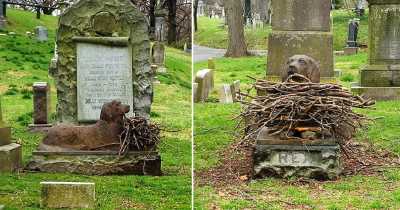 People Have Been Leaving Sticks On This Dog's Grave Who Died 100 Years Ago
