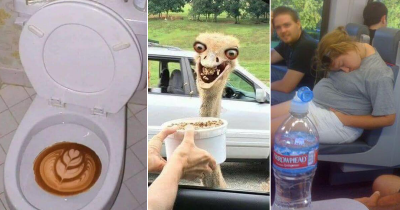 WTF Images That Will Definitely Make You Laugh Out Loud