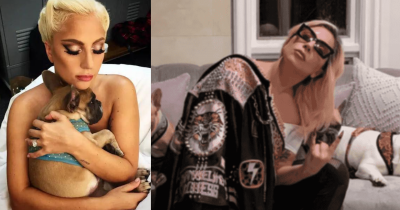 Lady Gaga Sued By Woman Who Helped Steal Her Dogs For Not Paying $500k Reward When They Were Returned