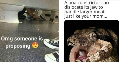 Get Ready to Burn: Spicy Memes That Will Corrupt Your Soul