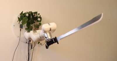 This Plant Can Defend Itself Using Its Own &ldquo;Thoughts&rdquo; To Control A Giant Machete