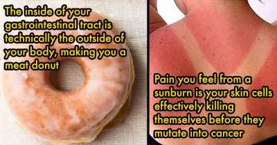 Unsettling Truths About the Human Body You Never Knew