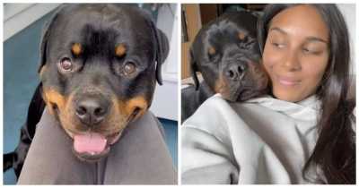 Heartbroken Dog Ignored By People At Park Gets What He Deserves From Mom