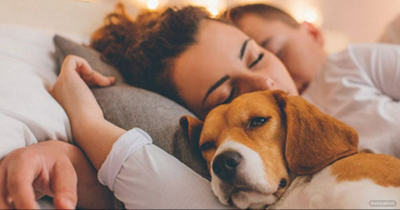 Should You Let Your Dog Sleep In Bed With You? Well, This Doctor Says There Is A Gross Reason You Shouldn't
