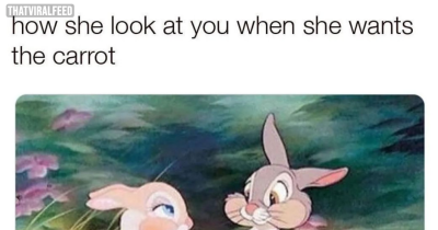 Hilarious Relationship Memes That Will Make Your Heart Flutter