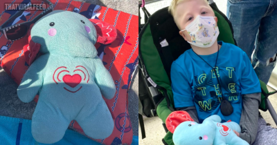 Mom Pleads For Help After Teddy That Contains Her Son&rsquo;s Ashes Goes Missing