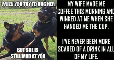 Hilarious Memes That Perfectly Sum Up Married Life