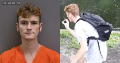 Man Arrested After Hopping Into Alligator Enclosure In Florida