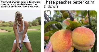 Collection of Grown-Up Memes That Will Brighten Your Dark World