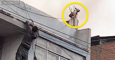 Man Afraid Of Heights Climbs Building To Rescue 25 Dogs Trapped In Fire
