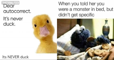 These Pictures And Memes Are Just What You Need Today