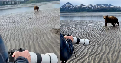 Tourists Fend Off Terrifying Bear By Screaming In Its Face