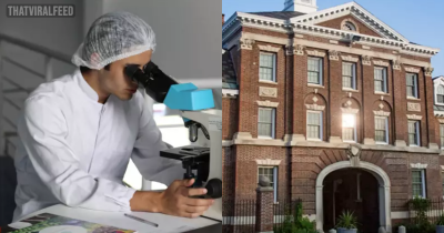 Angry Janitor Turns Off Super-Cold Freezer Destroying Decades Of Scientific Work