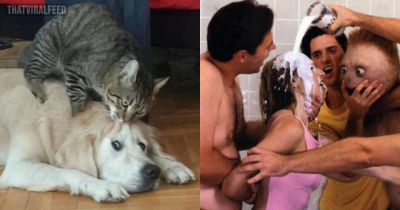The Most Hilarious And WTF Pictures That Will Make You Say "That's Enough Internet for Now!"