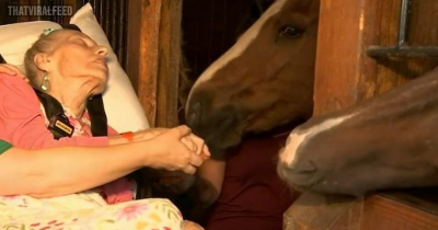 Hospice Grants 79-Year-Old Woman&rsquo;s Dying Wish To See Her Horse One Last Time