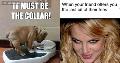 Relatable Memes That Are Right In Their Own Way