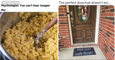 Hilarious Memes To Rescue Your Day
