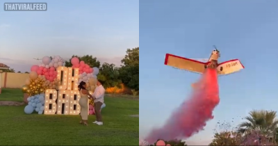 Pilot Tragically Passes Away After Gender Reveal Party Stunt Plane Crashes In Front Of Guests