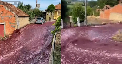 Incredible Moment A River Of Wine Flows Through Portuguese Village When Distillery's 2.2 Million Litre Tanks Burst