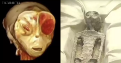Two 1,000-year-old Alleged Alien Corpses Displayed In Glass Cases In Mexico