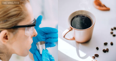 Scientists Reveal Our Sense Of Smell Changes How We See Color