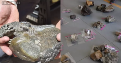 Four Charged With Stealing $1 Million In Dinosaur Bones And Selling Them To China
