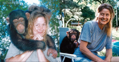 Terrifying 911 Call Moments After Family's Pet Chimpanzee Unleashes Brutal Attack On Woman