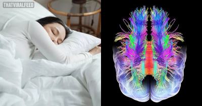 Scientists Create Device Which Lets You Play Back Your Dreams