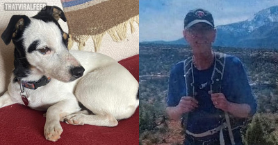 Family Of Hiker Who Died In Mountains Give Health Update On 'Miracle Dog' Who Lost Half Her Body Weight While Waiting For Help