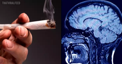 Timeline Of What Happens To Your Body After Quitting Weed As Snoop Gives It Up