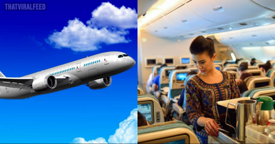 Chinese Airline Leaves People Shocked After Serving 'Dog Food' To Passengers