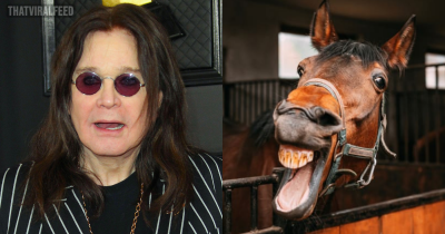 Ozzy Osbourne Gave Up Taking Acid After Talking To Horse&nbsp;For&nbsp;An&nbsp;Hour